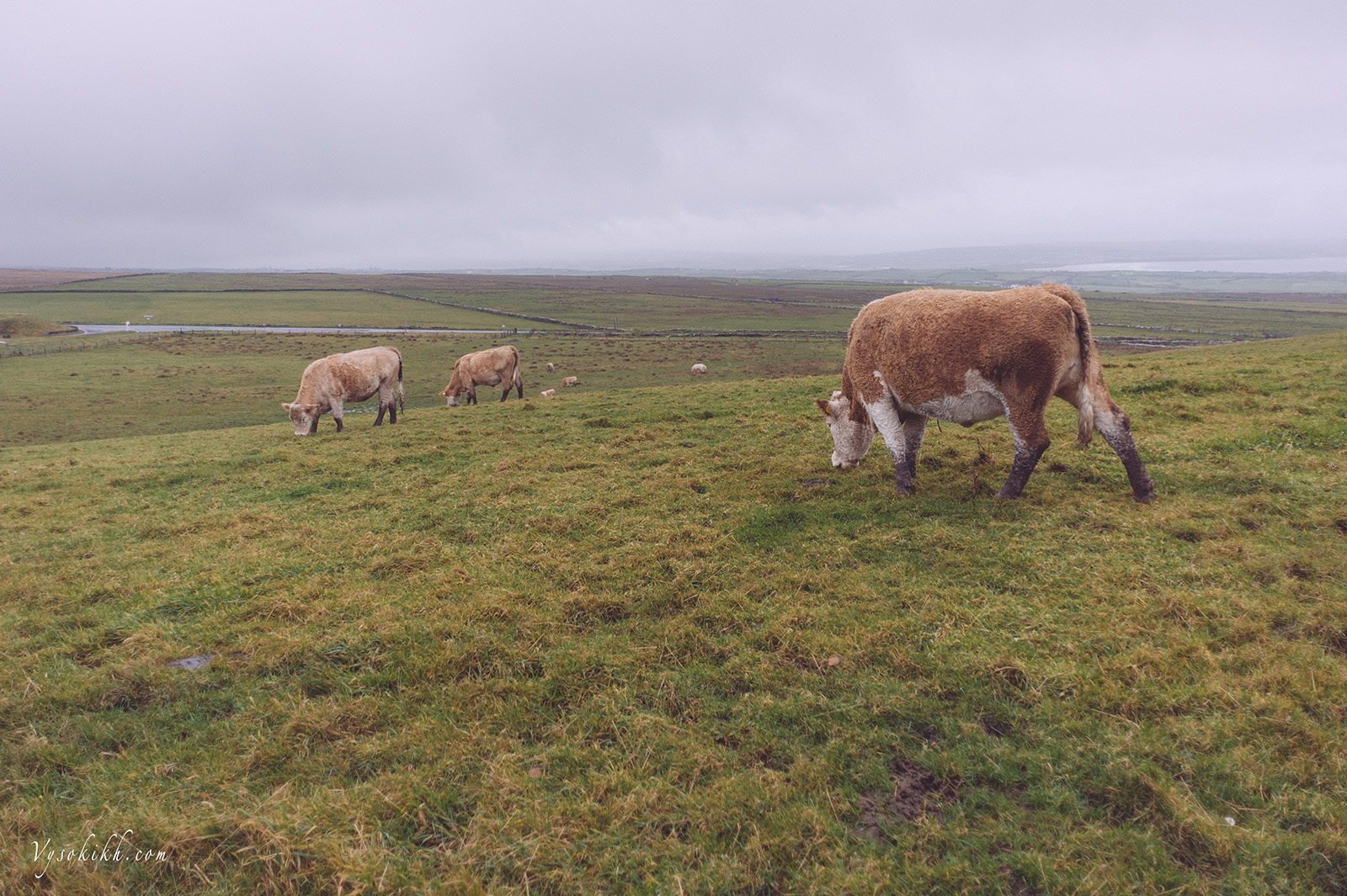 Ireland / Ирландия