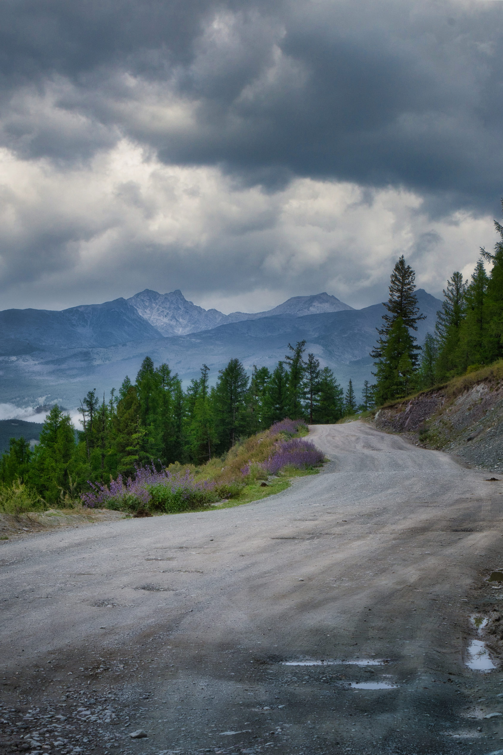 Республика Алтай / Altai Republic
