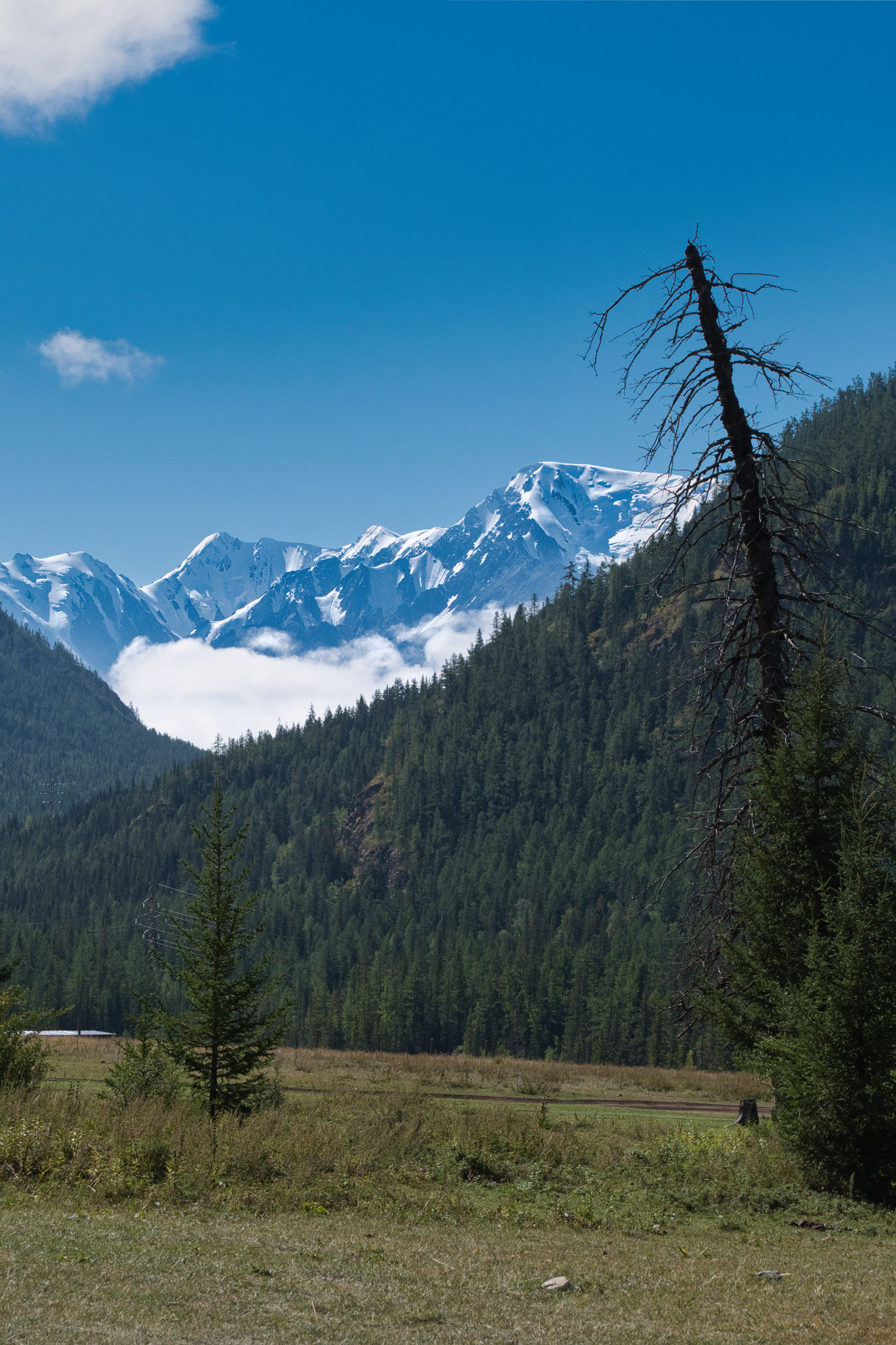 Республика Алтай / Altai Republic