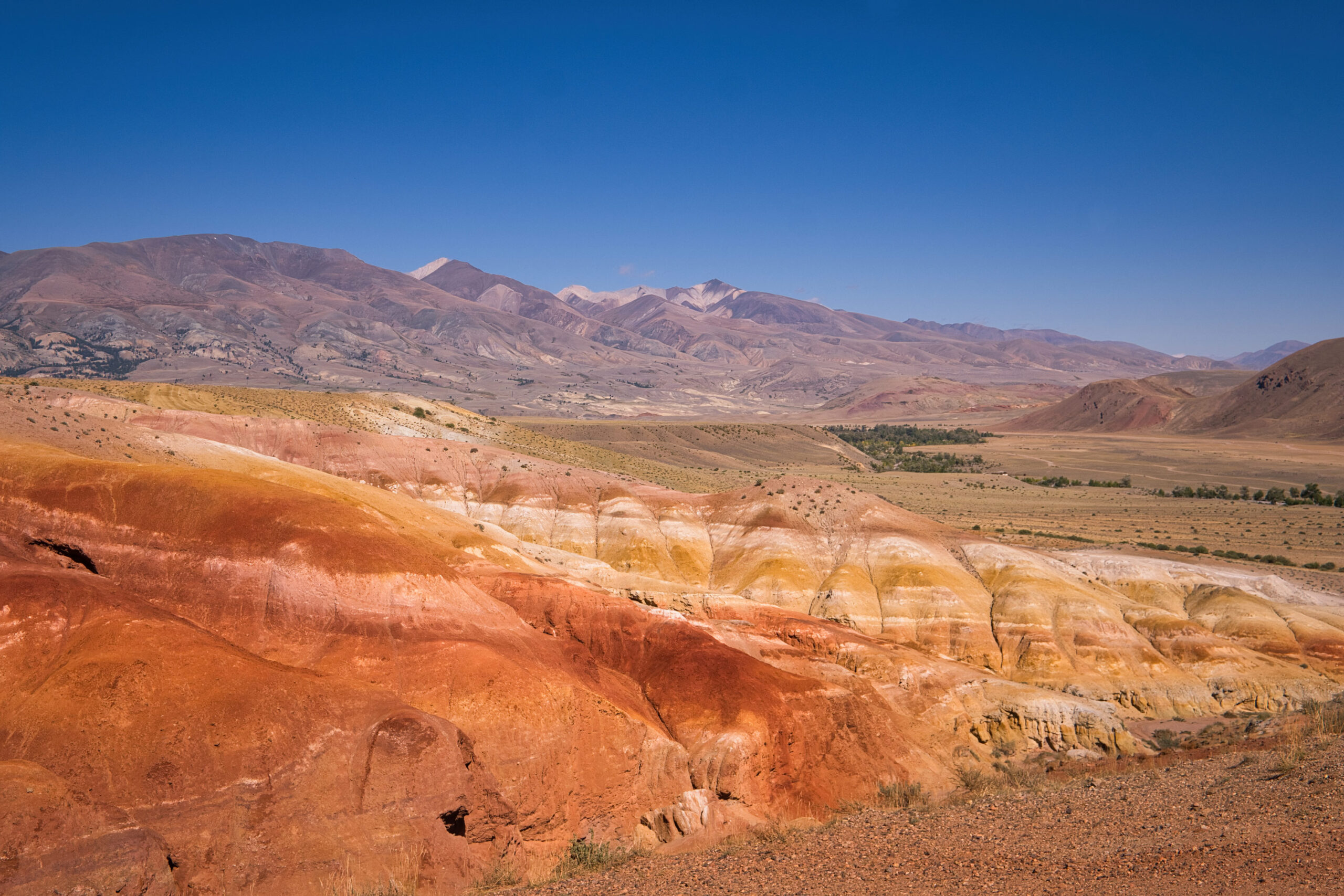 Республика Алтай / Altai Republic