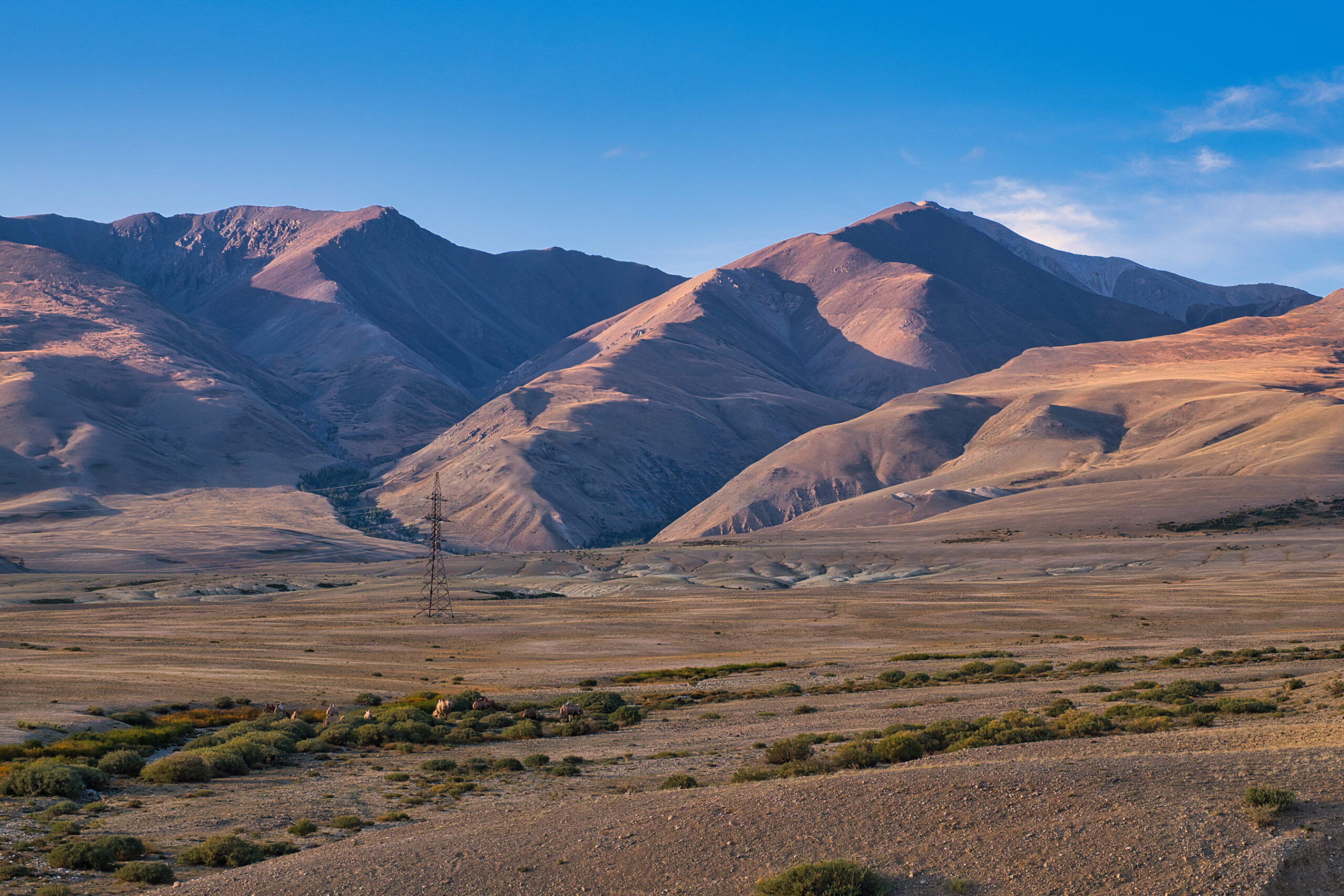 Республика Алтай / Altai Republic