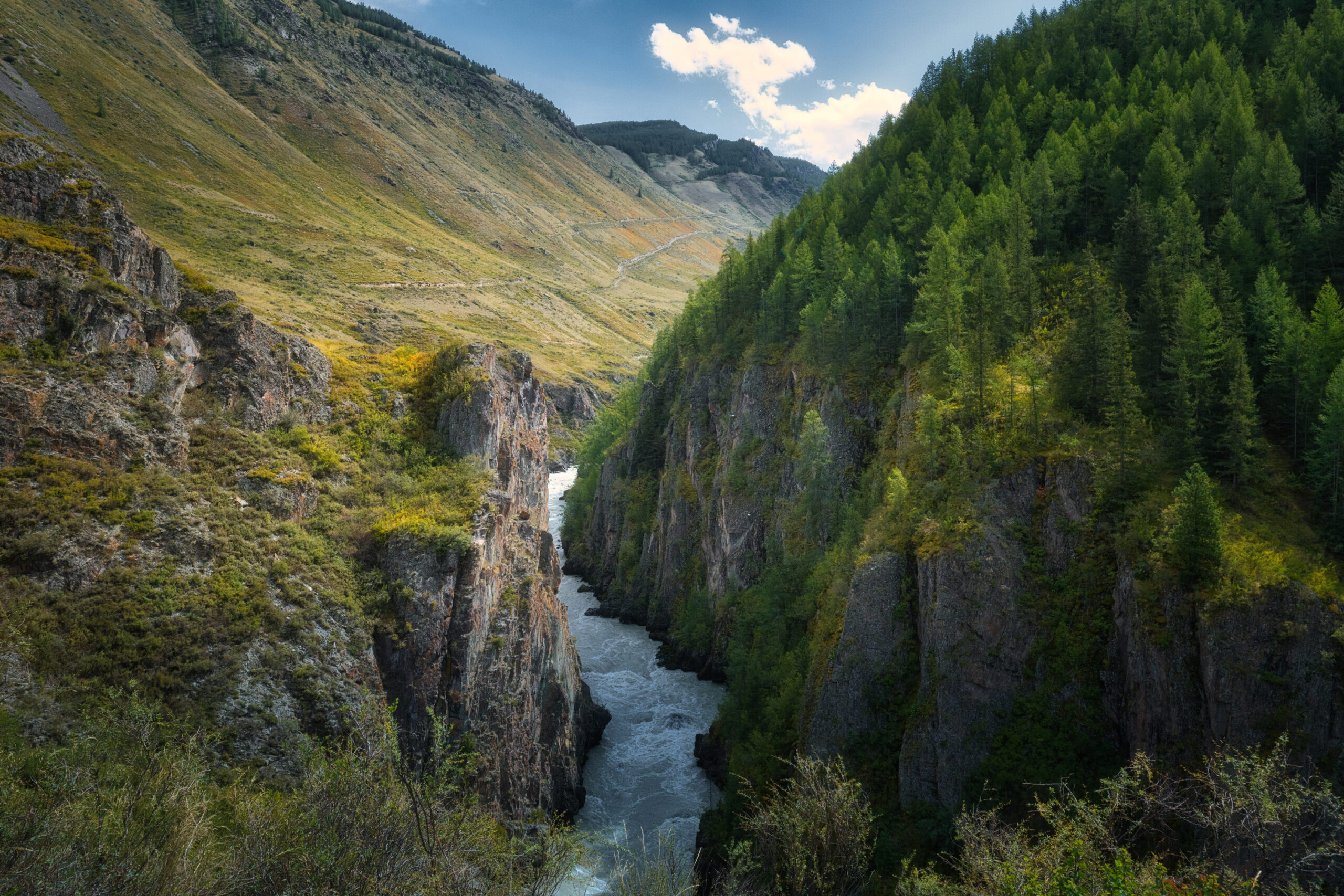 Республика Алтай / Altai Republic
